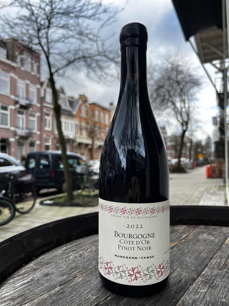 Bourgogne Côte d'Or Pinot Noir 2021 - Pascal Marchand Tawse (BD &amp; vin nature)