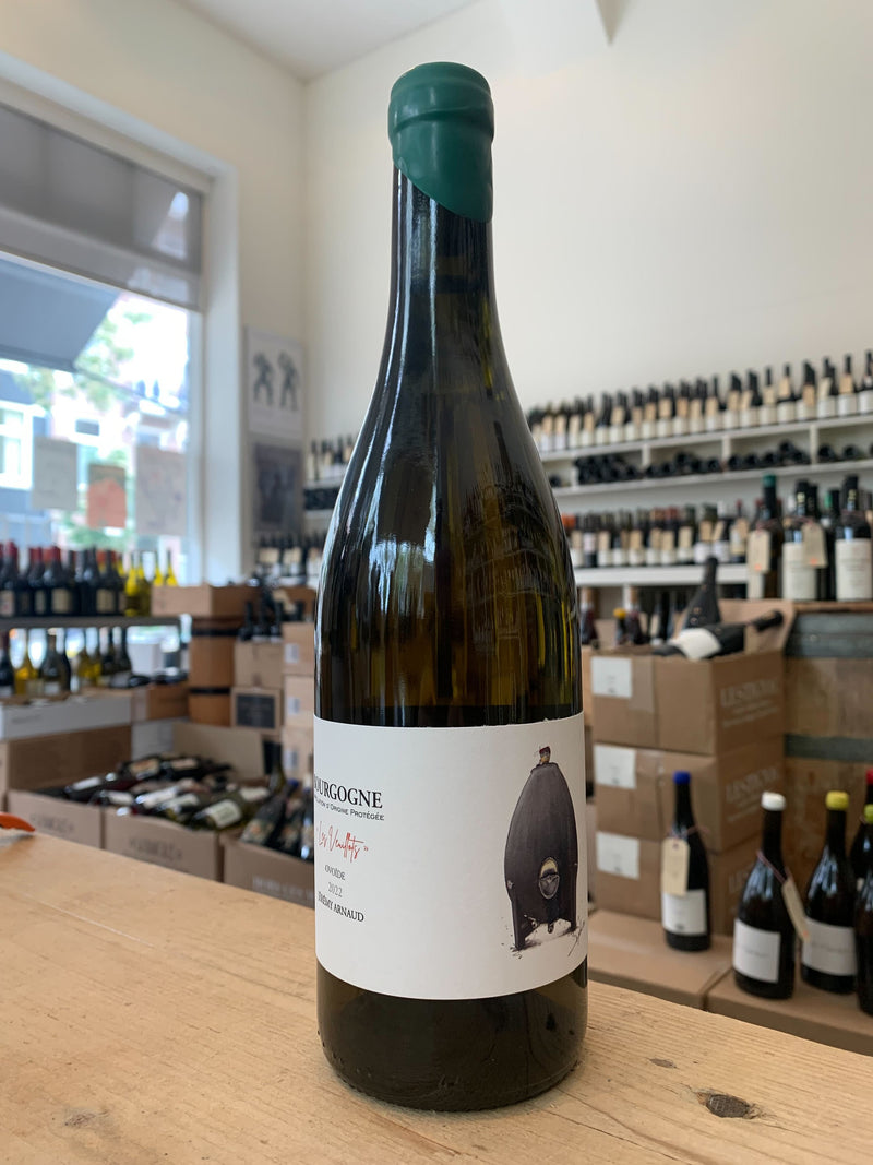 Bourgogne Blanc "Les Veuillots" Ovoid 2022 - Domaine Jérémy Arnaud