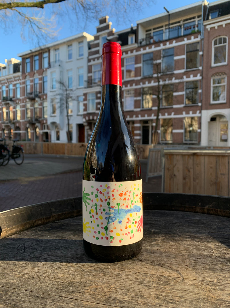 VDF rouge "Gamay from Léo" 2021 Domaine de la Renardière