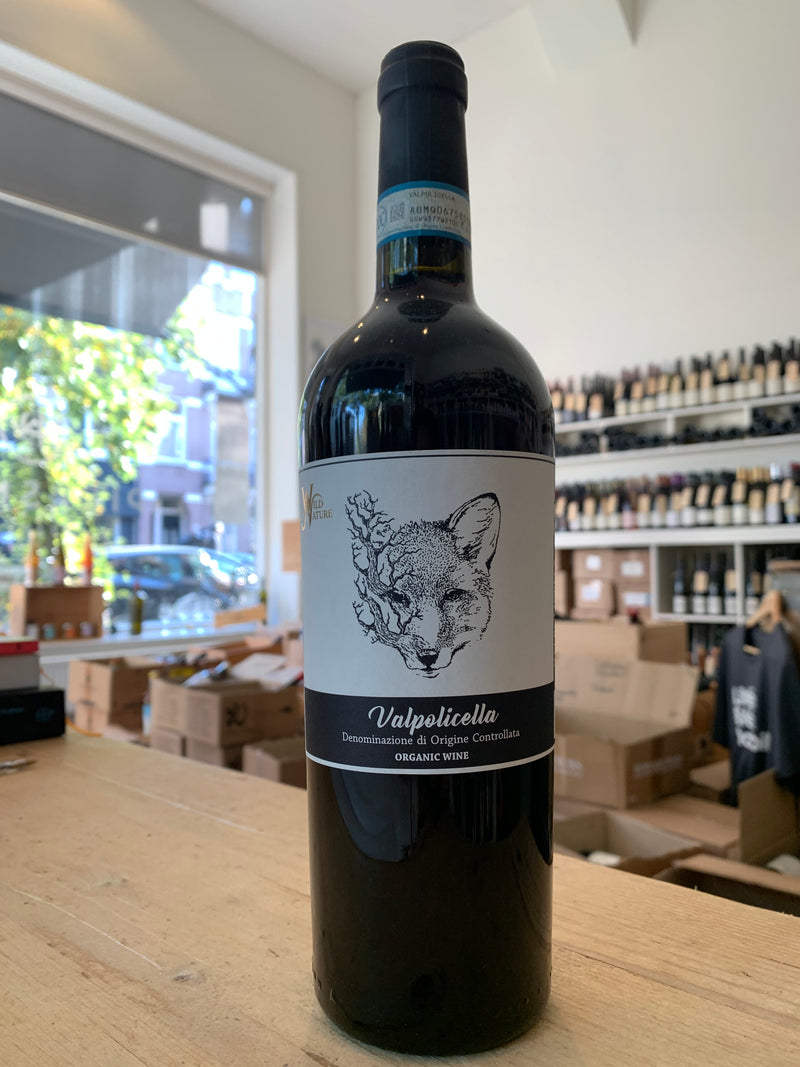 Valpolicella DOC 2019 - Fidora